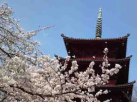the five story pagoda of Hokekyoji Temple
