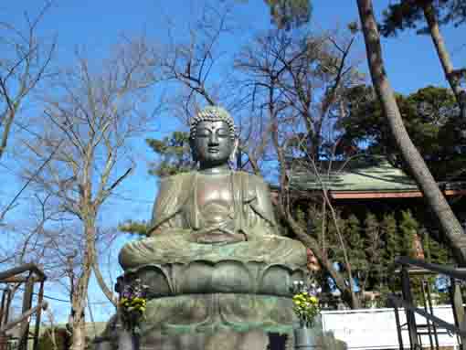 the statue of Shaka Nyorai in Nakayama