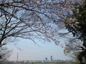 the views from Nogikuen in Spring