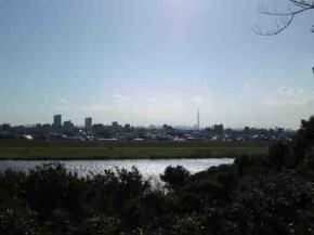 the view from Satomi Park to Tokyo