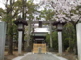 the first torii gate and cherry blossoms
