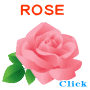 a button to roses