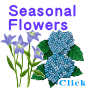 a button to seasonal flowers