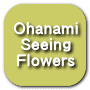the ohanami button
