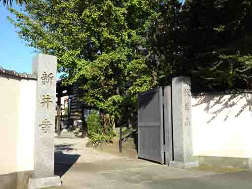 秋葉山新井寺の入口