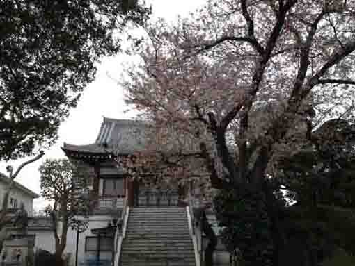 The main hall of Ankokuji Temple