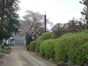 Chokokusan Ankokuji Temple