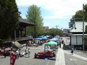 Nakayama Antique Market in Spring