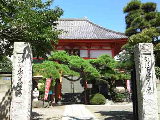 Kaigansan Koyain Anyoji Temple