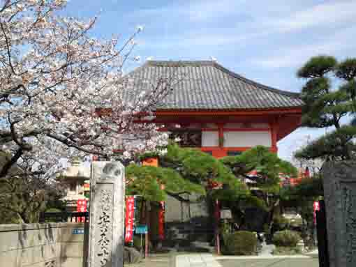 海岸山安養寺本堂