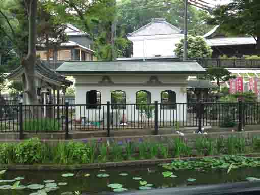 irises bloom under Hachidai Ryuodo Hall