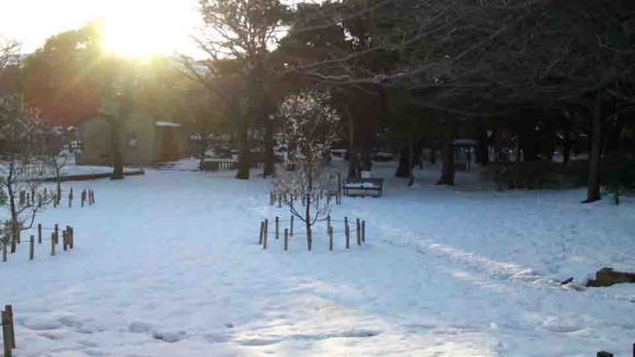 大雪のおりひめ神社