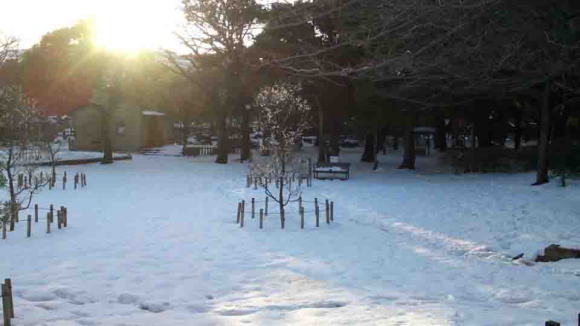 the heavy snow on Nikke Chinju-no-mori