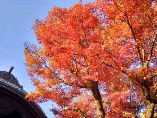 �ߘa�T�N�H�q��@�̍g�t�Q