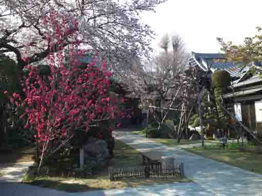 Nijusan Chisenin in Nakayama