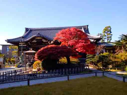 長勝寺の紅葉１