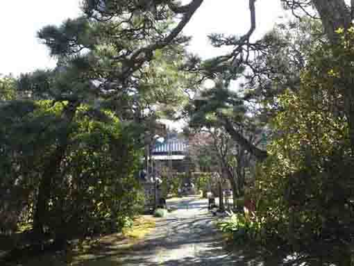 the garden of Choshozenji Temple
