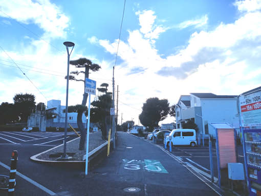 中山競馬場前駐車場の道