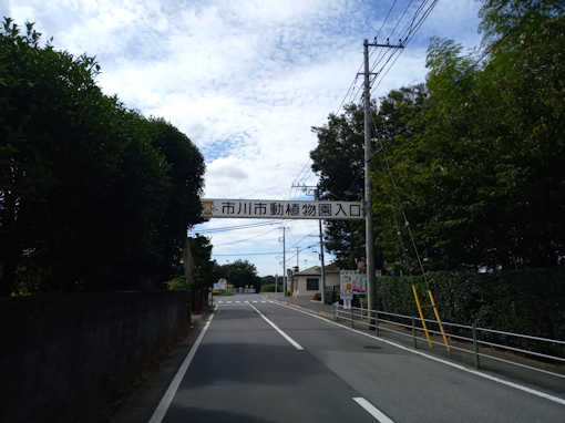 市川市動植物園入口の横断幕