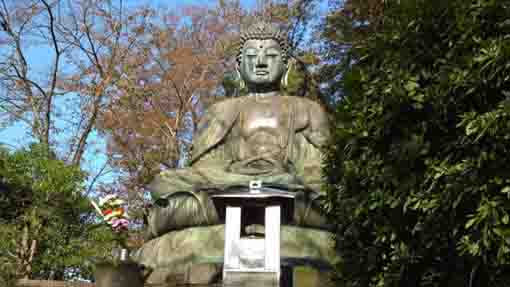 daibutsu in Hokekyo-ji Temple