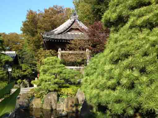 the bell tower in Dairenji in Urayasu