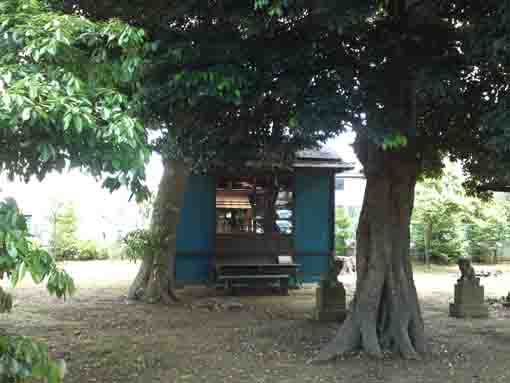 the hall of Dairokutensha in Innai