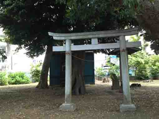 the torii gate  of Dairokutensha in Innai