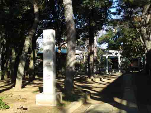 the yard in Dairokutengu Shrine
