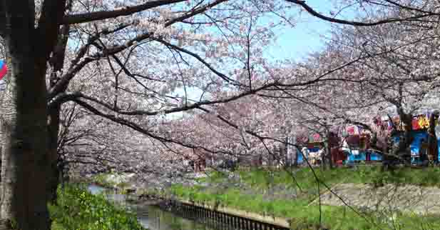 Ebigawa River flowing Funabashi