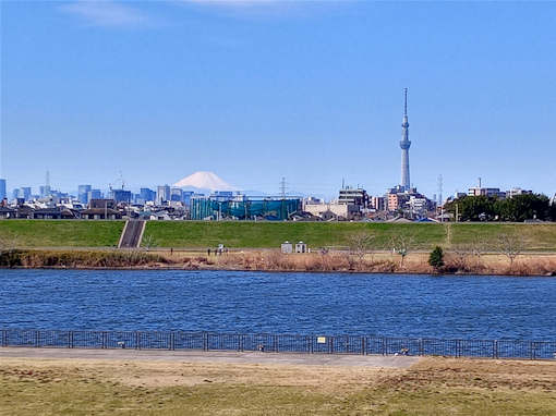 令和６年江戸川から臨む富士山とスカイツリー