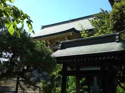 the buildings in Jokoji Temple