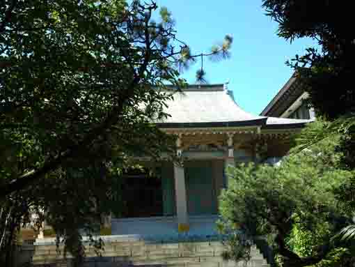 the main hall in Jokoji Temple