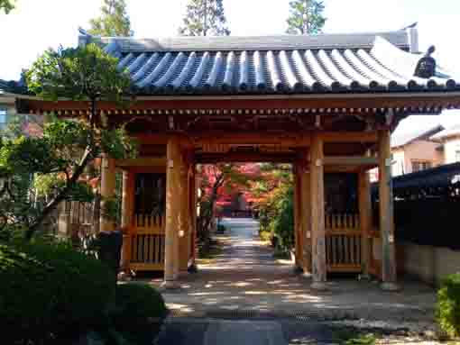 令和３年秋小松川の永福寺の紅葉８