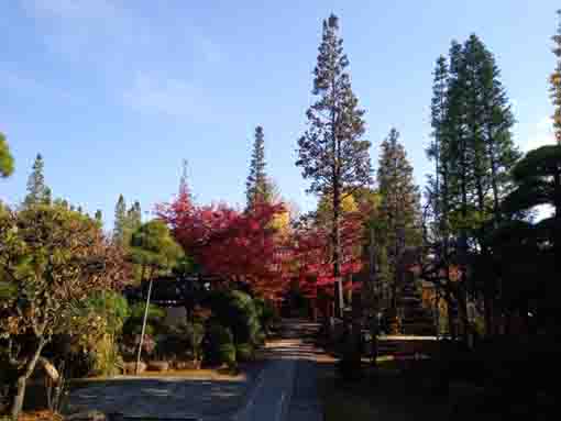 令和３年無量山永福寺の紅葉２