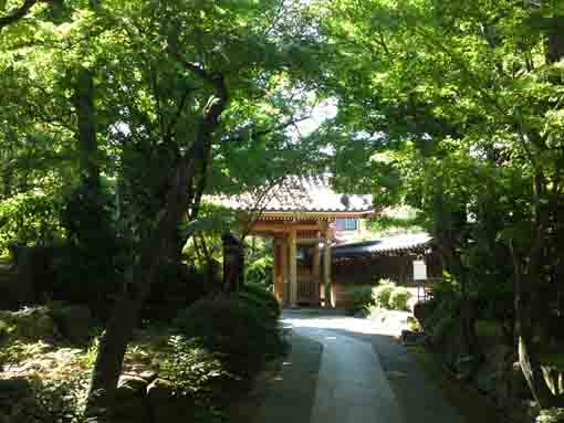 the approach road of Eifukuji