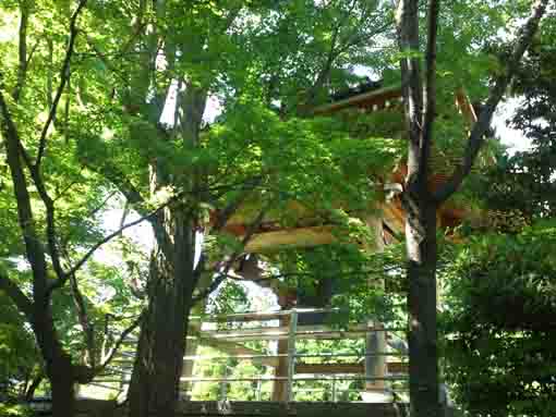 the bell tower of Muryosan Komeiin Eifukuji