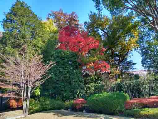 �ߘa�T�N�H����@�s��ʉ@�̍g�t�P�Q