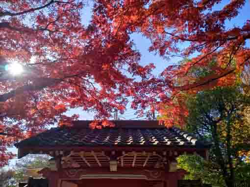 �ߘa�T�N�H����@�s��ʉ@