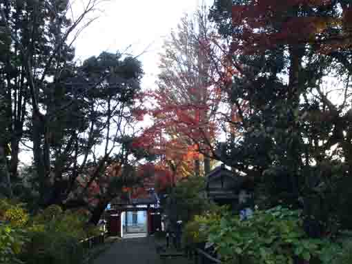Ekoin Branch Temple in Ichikawa