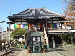 the main hall of Enshoin Temple