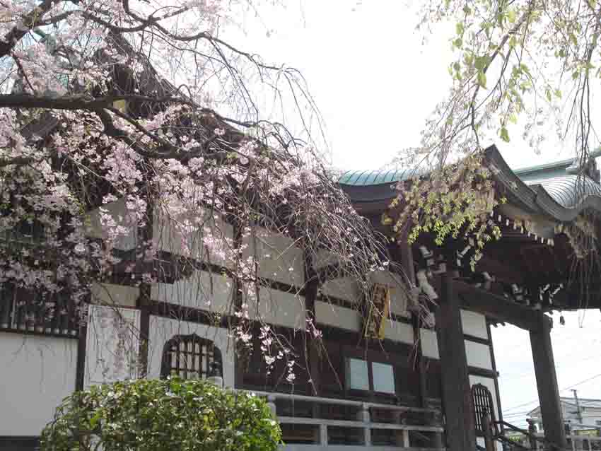the main hall of Kaigonsan Entonji Temple