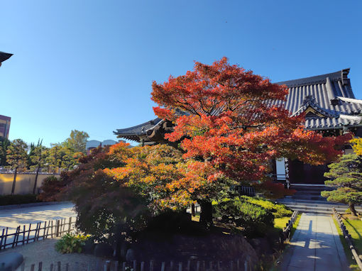 �ߘa�V�N�H���h�R�������̍g�t�Q