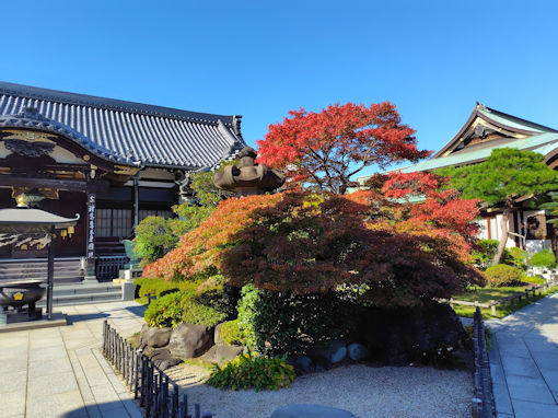 �ߘa�V�N�H���h�R�������̍g�t�R