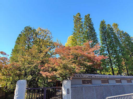 �ߘa�V�N�H�i�����̍g�t�P