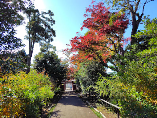 �ߘa�V�N�H����@�s��ʉ@�̍g�t�S