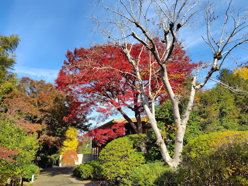 �ߘa�V�N�H����@�s��ʉ@�̍g�t�T