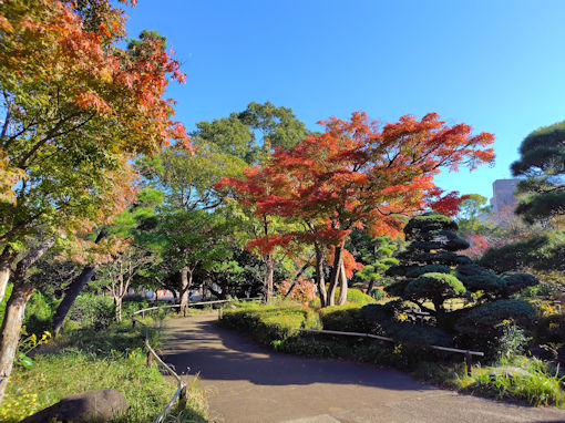 �ߘa�V�N�H�s�D�����̍g�t�P