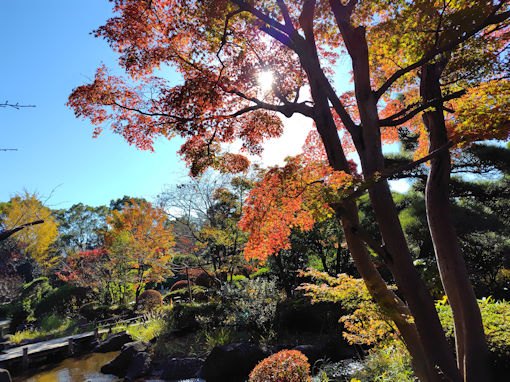 �ߘa�V�N�H�s�D�����̍g�t�Q