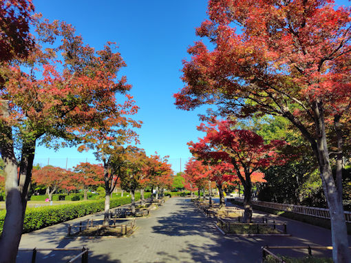 �ߘa�V�N�H�s�D�����̍g�t�U