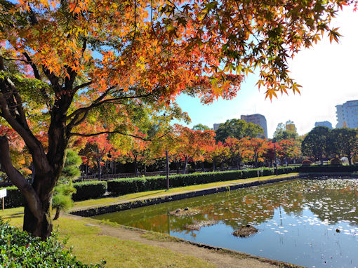 �ߘa�V�N�H�̍s�D����